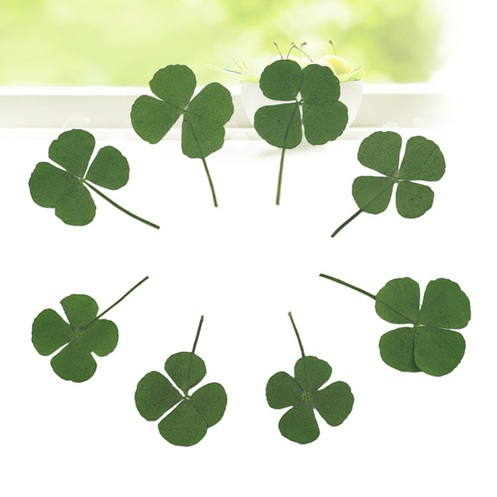 12Pcs Four Leaf Clover Dried C - Resin Craft Material recension och pris