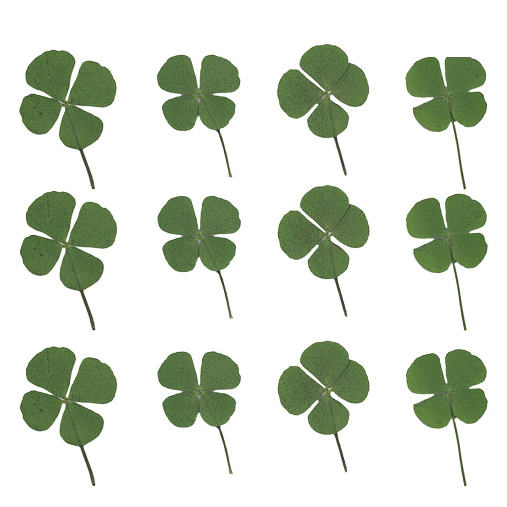 12Pcs Four Leaf Clover Dried C - Resin Craft Material recension och pris