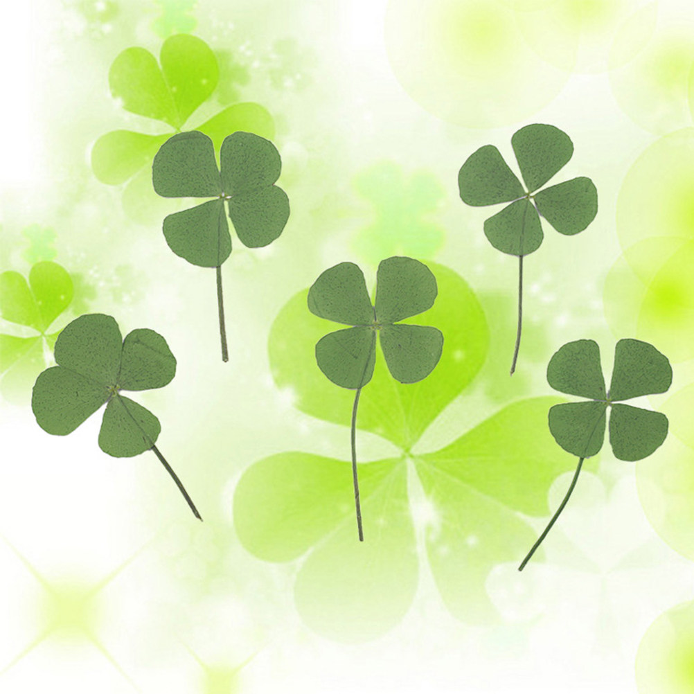 12Pcs Four Leaf Clover Dried C - Resin Craft Material recension och pris