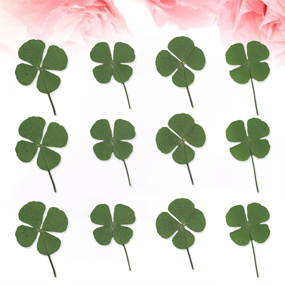 12Pcs Four Leaf Clover Dried C - Resin Craft Material recension och pris