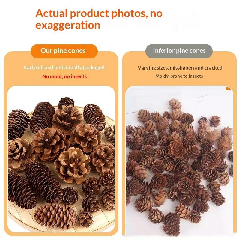 Natural Dried Pine Cones 5/10/ - Dried Flower Bulk recension och pris